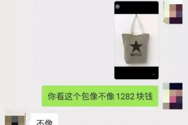 海宁遇到恶意拖欠？专业追讨公司帮您解决烦恼